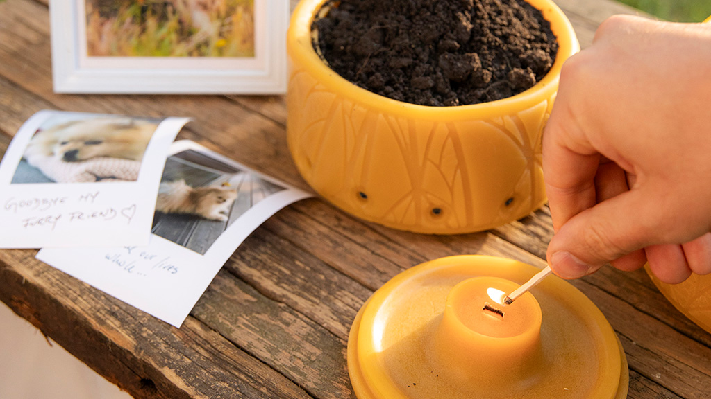 Pet Memorial. A person gently lights a candle to honor their departed pet. The capsule Senfina eco-friendly pet urn made of beeswax is filled with soil to help growing a seed.